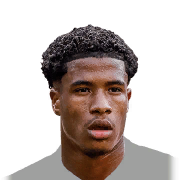 Olympique Lyonnais : Ryan Flamingo ressent une douleur